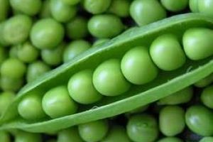 Αρακάς µε λεµόνι